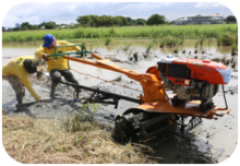 Asian and Pacific Network for Testing of Agricultural Machinery (ANTAM)