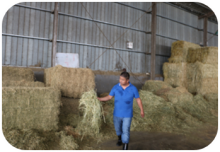 Integrated management of straw residue