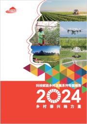 科技赋能乡村发展系列专题报告2024: 乡村振兴她力量